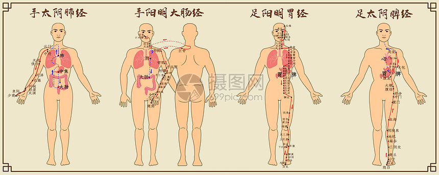 十二经脉中医经络图一图片