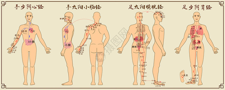 十二经脉中医经络图二心经高清图片素材