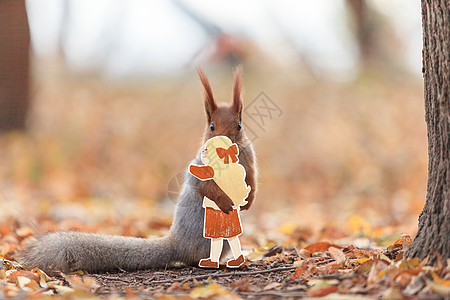简笔小人秋天森林里的松鼠和金发小人插画