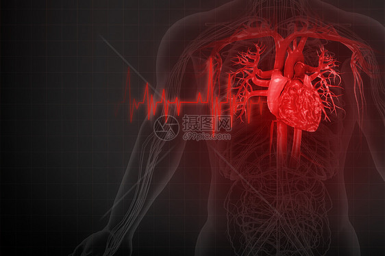 人体心脏疾病图片