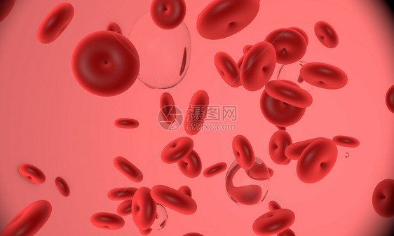 显微镜下红细胞图片