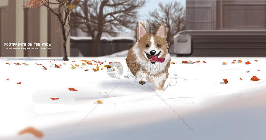 雪地中奔跑的狗狗图片