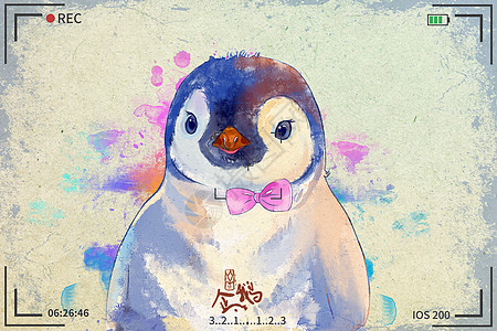 可爱企鹅水彩明信片插画背景图片
