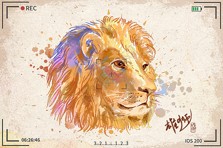 狮子水彩明信片插画图片