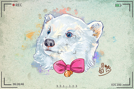 北极熊水彩明信片插画图片