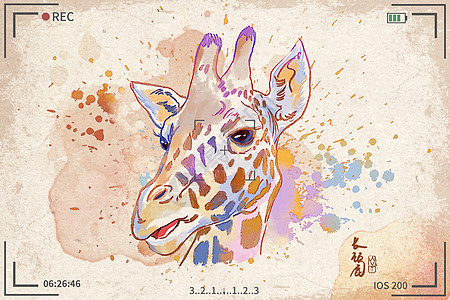 长颈鹿水彩明信片插画图片