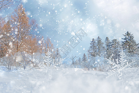 冬天背景图片