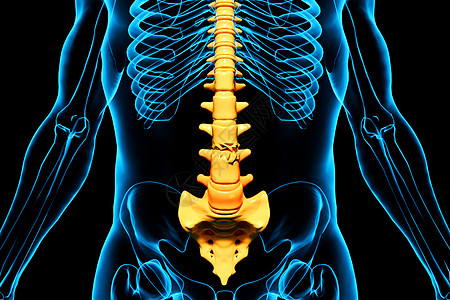 人体腰椎骨折图片