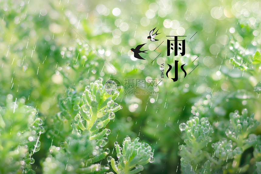 雨水节气