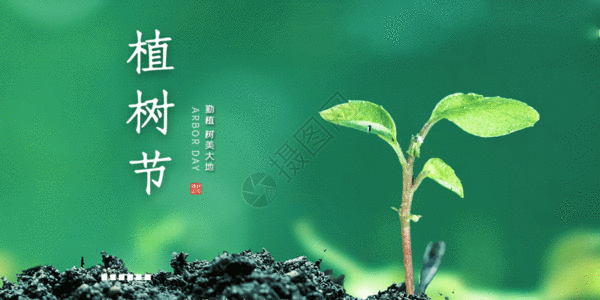 简洁植树节海报清新简约文艺植树节gif动图高清图片