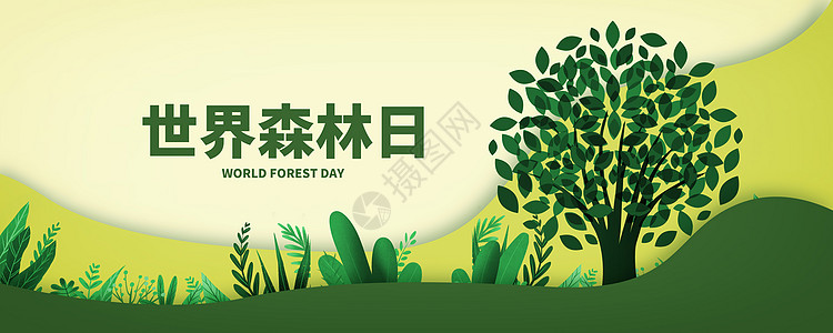 免费下载 背景 世界森林