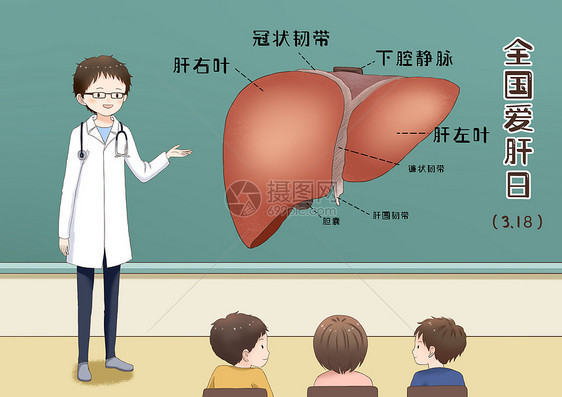 全国爱肝日图片