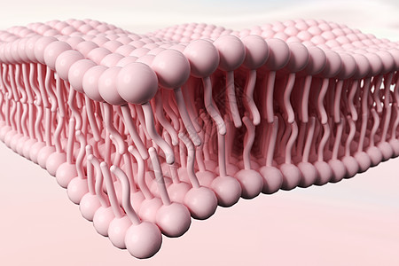 C4D细胞膜概念背景图片