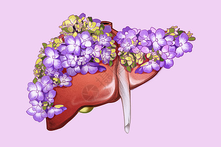 器官花卉肝脏图片