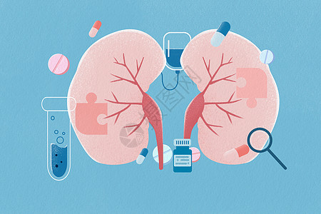 身体器官肾脏扁平风医疗插画背景图片