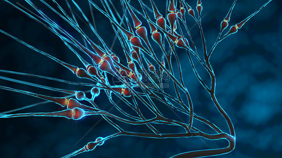 活性神经细胞突触图片