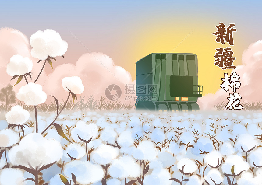 新疆棉花