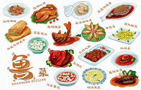 澳洲鲍鱼鲁菜山东特色手绘美食插画