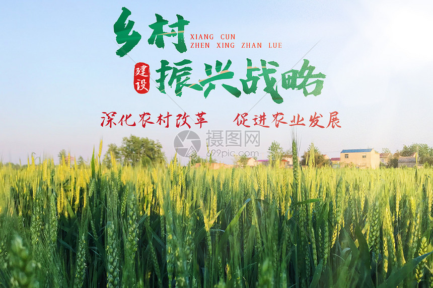 乡村振兴战略