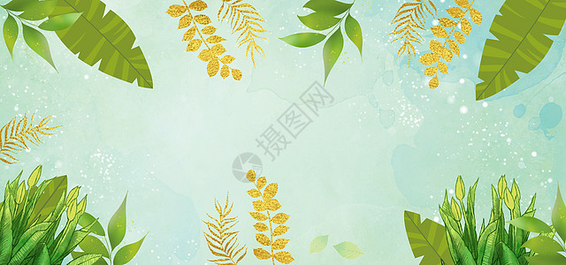 金箔植物图片