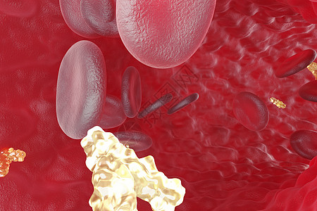 3D红细胞场景图片