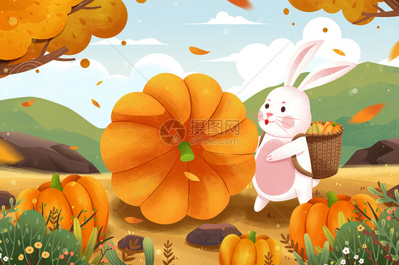 二十四节气立秋南瓜成熟兔子秋天插画图片