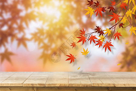 秋天背景图片