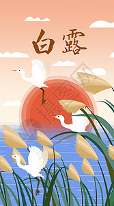 白露节气芦苇荡里的白鹭运营插画开屏页背景图片
