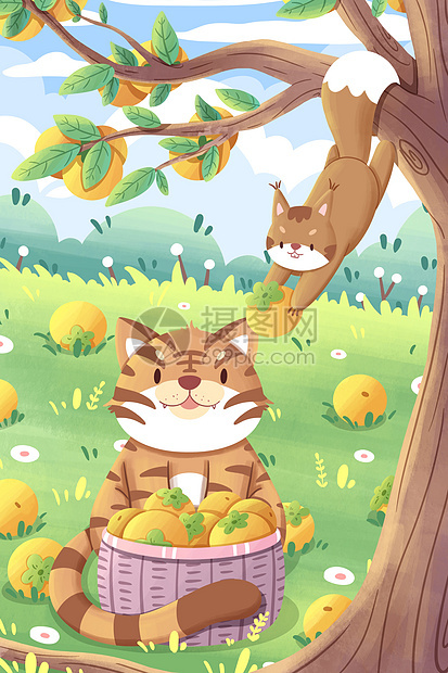 秋天松鼠与秋老虎摘柿子插画图片