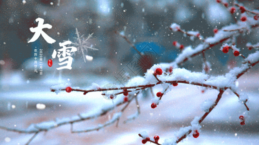 冬日温情大雪GIF高清图片