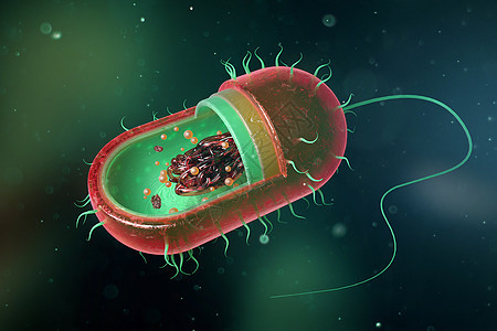 三维细菌解剖背景图片