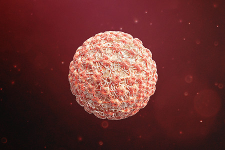 三维人乳头瘤病毒模型高清图片