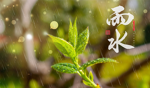 清新雨水图片