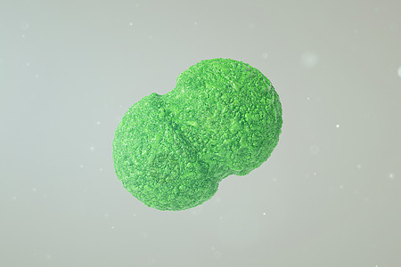三维肠球菌模型图片