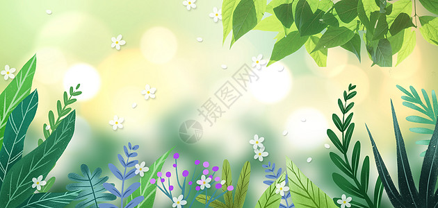 清新植物春天背景图片