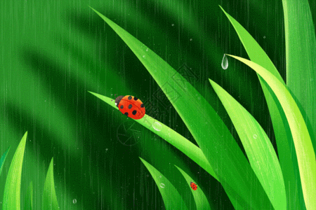 春天惊蛰二十四节气瓢虫风景插画gif动图图片