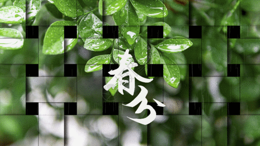 生机绿叶春分gif动图图片