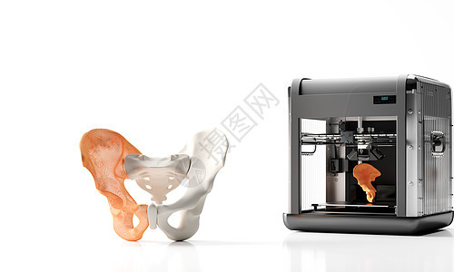 3D骨骼盆骨打印图片