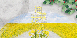 中国风油菜花开图片