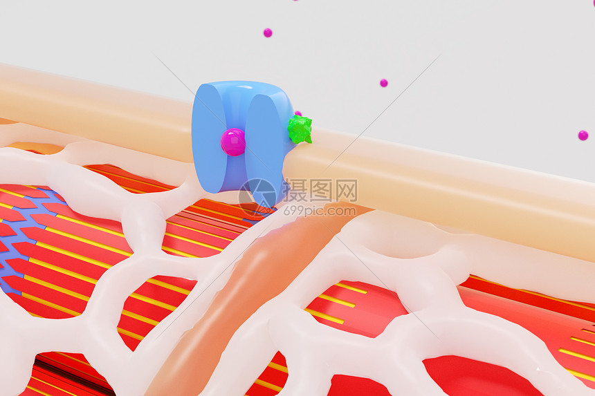 心脏钙通道阻滞剂场景图片