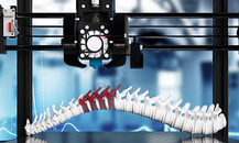 3D骨骼脊椎骨打印图片