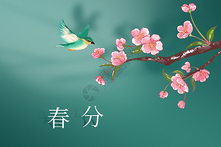 清新春分海报图片