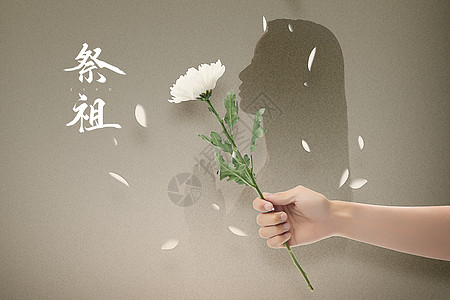 白色小菊花清明节祭祖设计图片