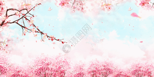 樱花字体春风十里桃花花朵背景GIF高清图片