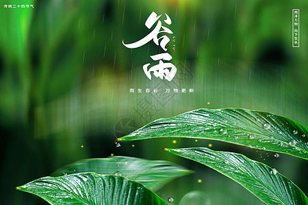 简约风谷雨节气海报图片