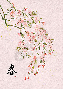 春季桃花粉色水彩花卉插画图片