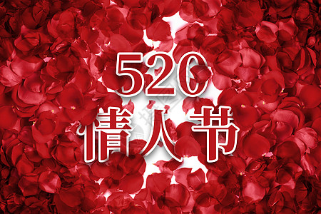 520浪漫花瓣背景图片