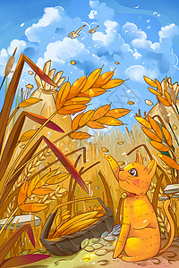 芒种节气麦穗田里的小猫和农作物图片