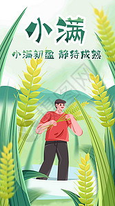 小满种麦子竖屏插画图片