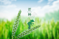 创意农民绿色小麦芒种图片